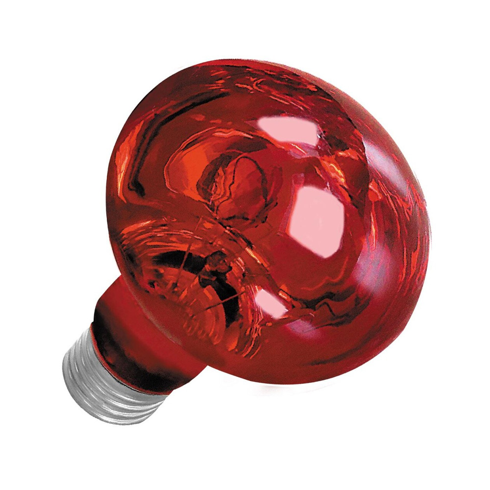 Żarówka nocna Night Heat Red 50W do terrarium dla gadów Happet Terra E27